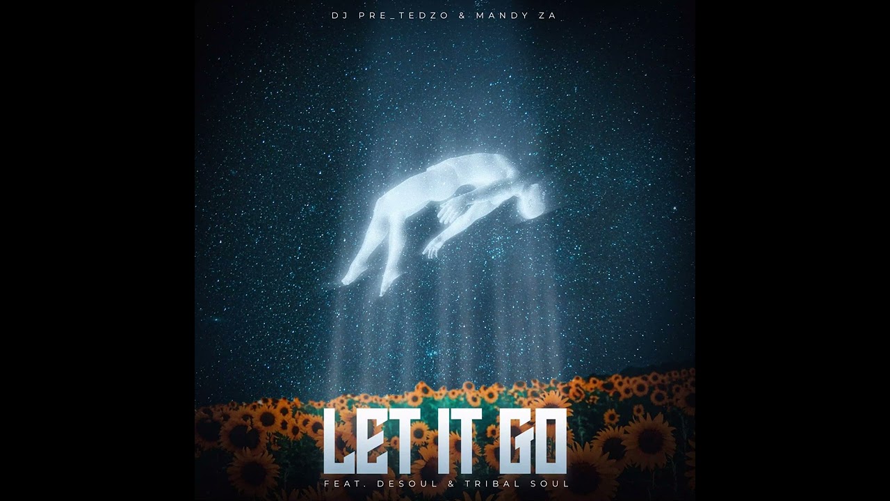 Dj Pre_Tedzo - Let It Go