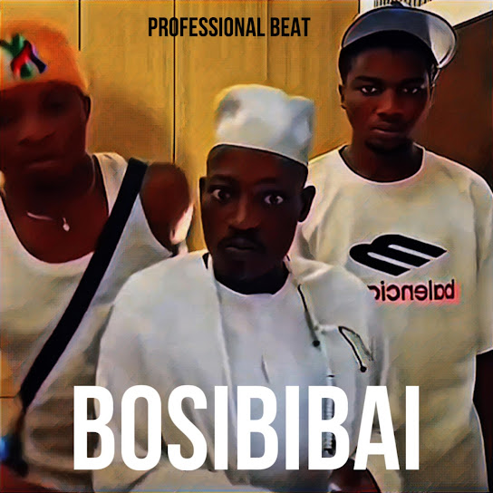 Professional Beat - Bosibibai