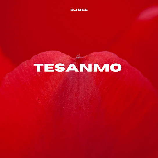 DJ Bee - Tesanmo