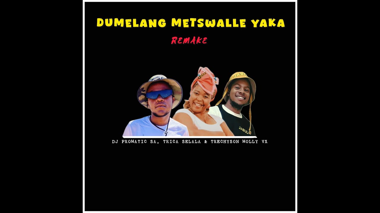 DJ Promatic SA - Dumelang Metswalle Yaka Remake|Amapiano