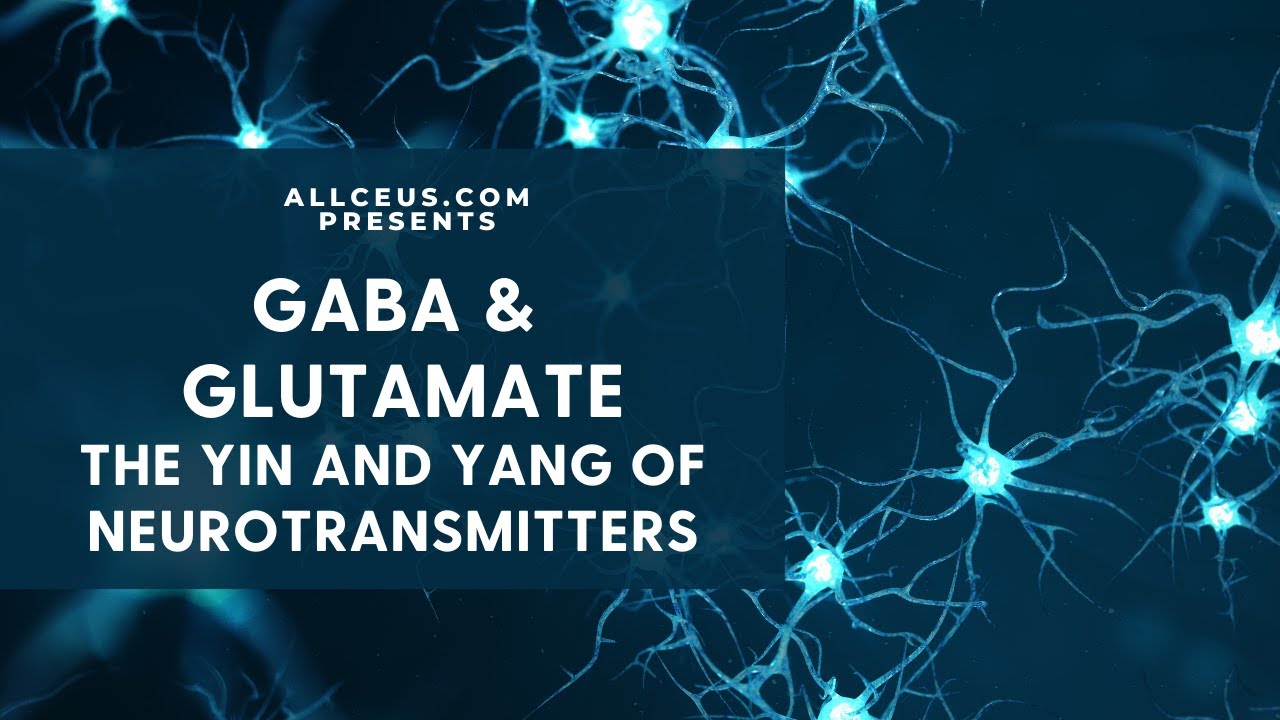 Counselor Toolbox Podcast | Counseling CEUs | CPD  Episodes 1-399 - Neurotransmitters and Mood  GABA & Glutamate