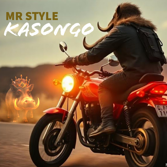 Mr Style - Kasongo